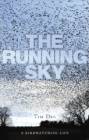 Review of “The Running Sky: A Birdwatching Life” by Tim Dee