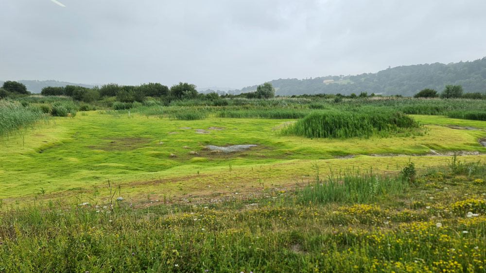 RSPB-Conwy-from-cafe